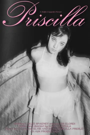 Plakat do filmu "Priscilla" #365960