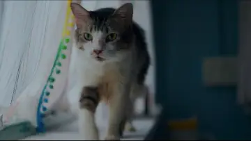 Zasłona do filmu "Max, Min and Meowzaki" #953225
