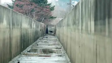 Zasłona do filmu "생츄어리" #476941