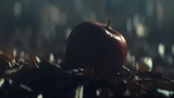 Zasłona do filmu "MaXXXine" #1531436