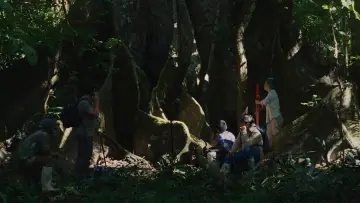 Zasłona do filmu "Lejos de los árboles" #1212360