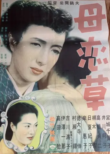 母恋草 plakat