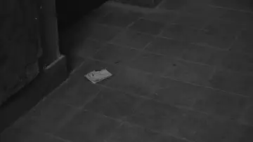 Zasłona do filmu "Jutro będzie nasze" #1165402