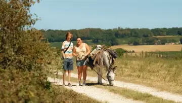 Zasłona do filmu "Super bourrés" #382615