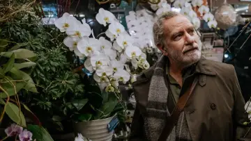 Zasłona do filmu "Dotyk" #649645