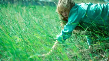 Zasłona do filmu "Zgiń, kochanie" #513484