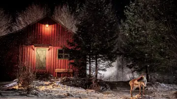 Zasłona do filmu "Prancer: A Christmas Tale" #429117