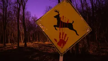 Zasłona do filmu "Bambi: The Reckoning" #445145