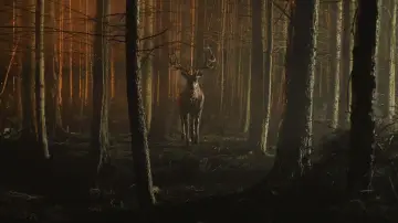 Zasłona do filmu "Bambi: The Reckoning" #586443