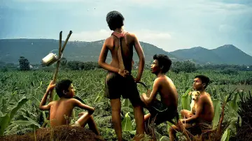 Zasłona do filmu "வாழை" #1152467
