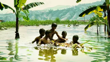 Zasłona do filmu "வாழை" #1152484