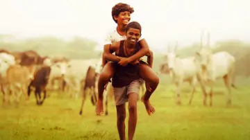 Zasłona do filmu "வாழை" #1152491