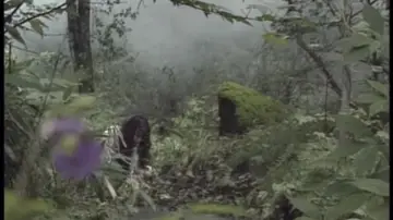 Zasłona do filmu "監禁逃亡　美しき獲物たち" #844820