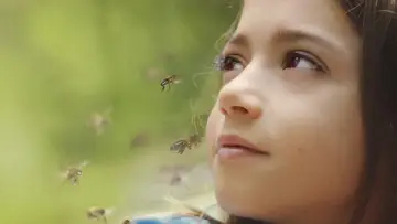 Zasłona do filmu "20 000 gatunków pszczół" #190574