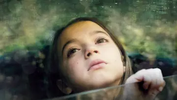 Zasłona do filmu "20 000 gatunków pszczół" #190575