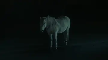 Zasłona do filmu "Samotność" #972566