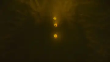 Zasłona do filmu "Objęcia matki" #885361