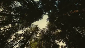Zasłona do filmu "Jedna bitwa po drugiej" #510304