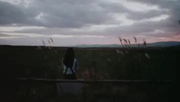 Zasłona do filmu "バイバイ・ラブ" #1138478