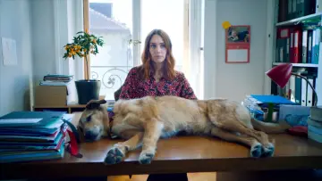 Zasłona do filmu "Pies na ławie oskarżonych" #591024