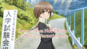 Zasłona do filmu "Rascal Does Not Dream of a Sister Venturing Out" #888827