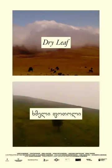 Plakat do filmu "Dry Leaf" #770906