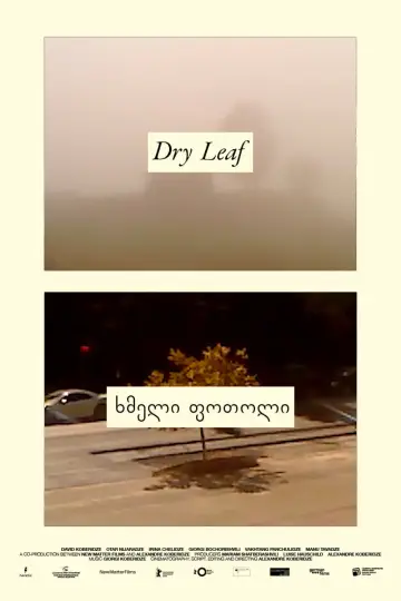 Plakat do filmu "Dry Leaf" #770909