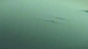刺猬