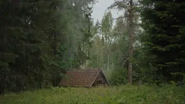 Zasłona do filmu "Siostrzeństwo świętej sauny" #756205
