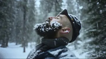 Zasłona do filmu "I dannati" #479718