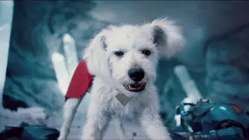 Zasłona do filmu "Superman" #513333