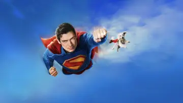 Zasłona do filmu "Superman" #513583