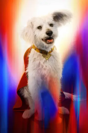 Plakat do filmu "Superman" #514262