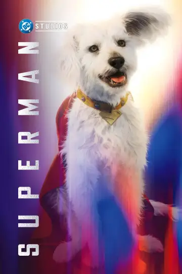 Plakat do filmu "Superman" #514520