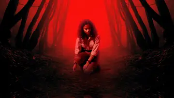 Zasłona do filmu "W mrocznym lesie" #444994