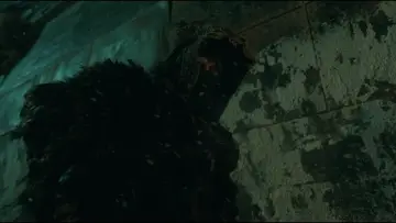 Zasłona do filmu "Frankenstein" #513647