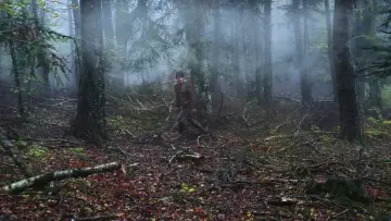 Zasłona do filmu "Mizerykordia" #479511