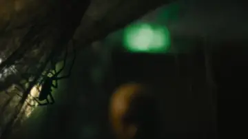 Zasłona do filmu "Robactwo" #190654
