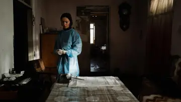 Zasłona do filmu "Kwiecień" #982963