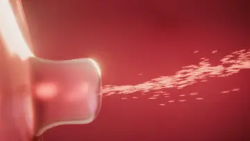 Zasłona do filmu "Spermageddon" #521837