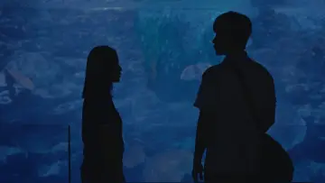 Zasłona do filmu "보이 인 더 풀" #449055