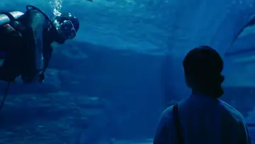 Zasłona do filmu "보이 인 더 풀" #885233