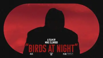 Zasłona do filmu "Birds at Night" #464821