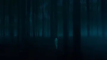 Zasłona do filmu "Jay Kelly" #550746