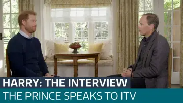 Zasłona do filmu "Harry: The Interview" #1825558