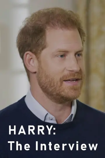 Plakat do filmu "Harry: The Interview" #1825561
