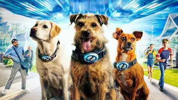 Zasłona do filmu "Space Pups" #485617