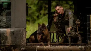 Zasłona do filmu "Ambush" #325350