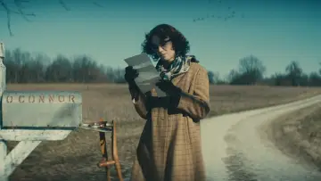 Zasłona do filmu "Dzikot" #448683