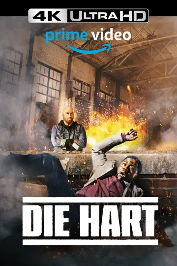Plakat do filmu "Die Hart: Film" #311187